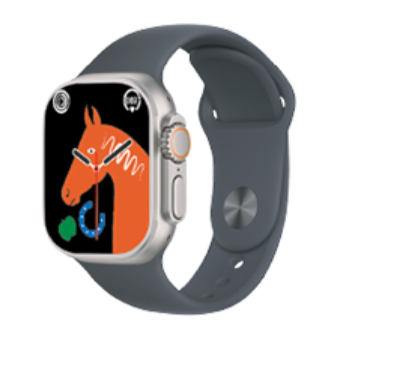 SMART WATCH INNOVA T800