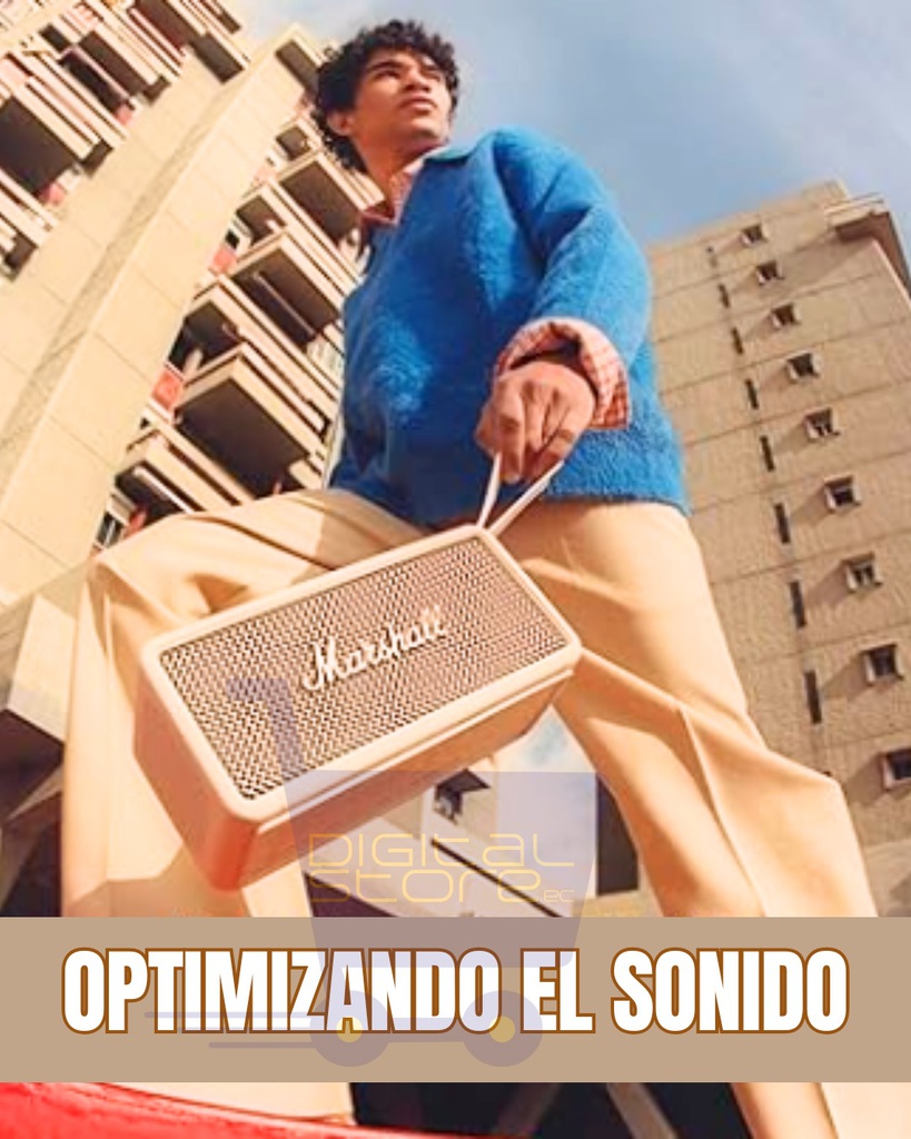 PARLANTE MARSHALL CON DOS MICROFONOS INALAMBRICOS KMS-18