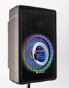 CAJA AMPLIFICADA INNOVA PARL-15-110000W ACTIVA 15 &quot;